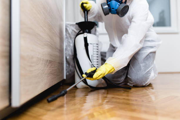 Best Flea Control Services  in Wilderness Rim, WA