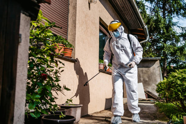 Best Local Pest Control Services  in Wilderness Rim, WA