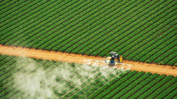 Reliable Wilderness Rim, WA Pest Control Solutions